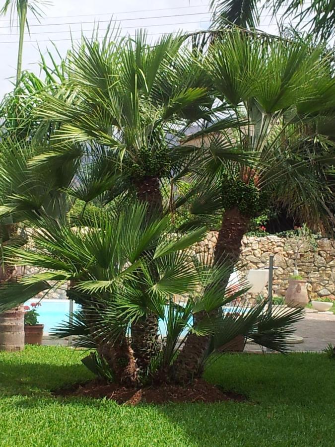 Villa Manzella Piscina Privata Cinisi Ngoại thất bức ảnh